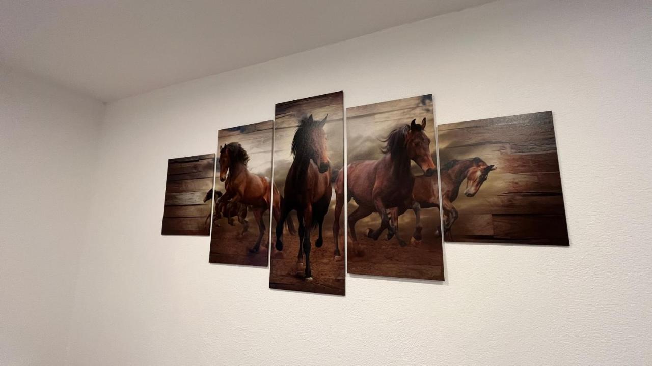 Ranchhouse Smoker- Westernstable - Horse Elterlein Εξωτερικό φωτογραφία