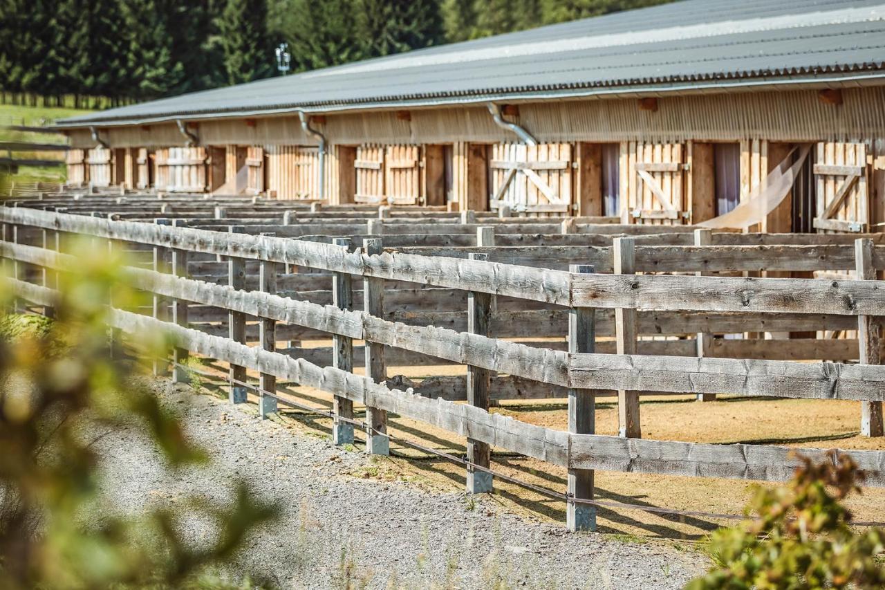 Ranchhouse Smoker- Westernstable - Horse Elterlein Εξωτερικό φωτογραφία