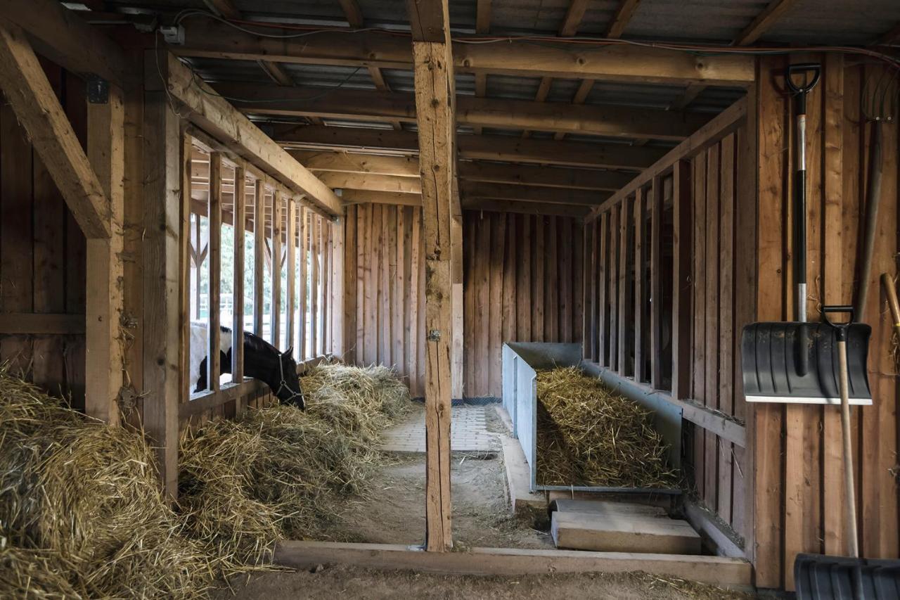 Ranchhouse Smoker- Westernstable - Horse Elterlein Εξωτερικό φωτογραφία