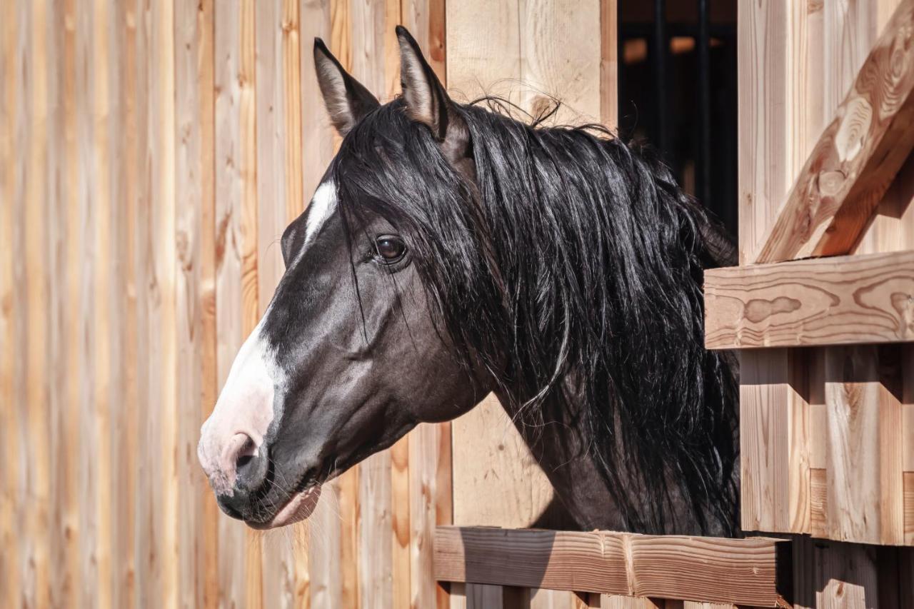 Ranchhouse Smoker- Westernstable - Horse Elterlein Εξωτερικό φωτογραφία